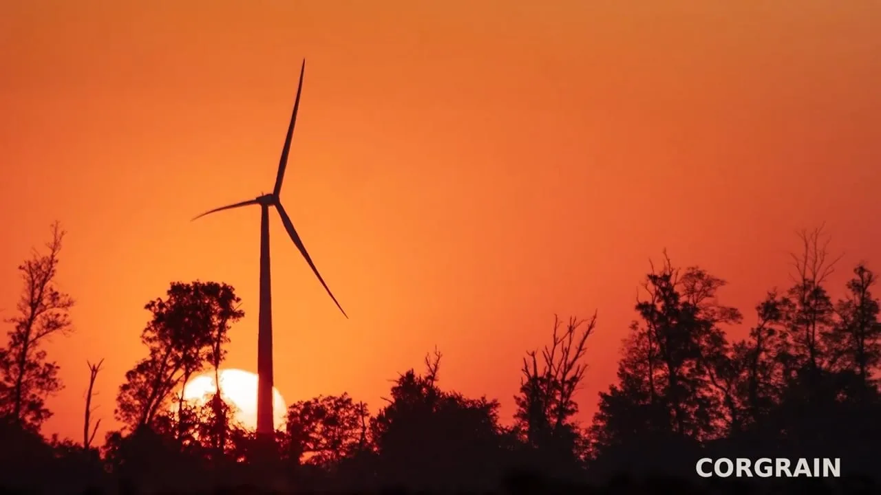 Windmills / From the ground up — film still